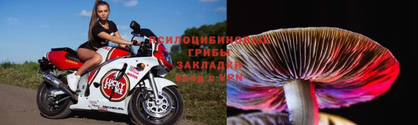 прущая мука Усмань